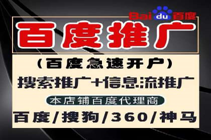 某知名企业竞价推广的全程解析